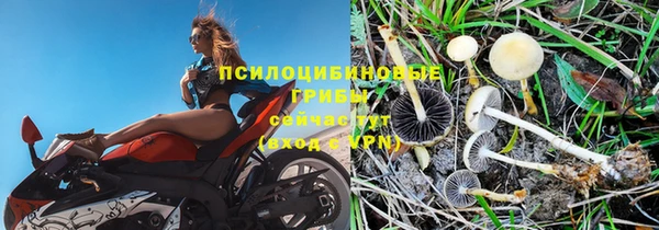 спиды Баксан