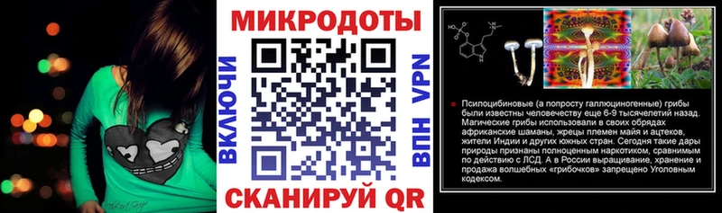 Псилоцибиновые грибы Cubensis  Верхний Тагил 