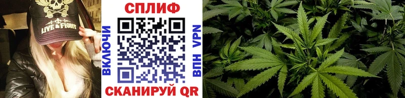 Шишки марихуана тримм  купить наркотик  блэк спрут онион  Верхний Тагил 